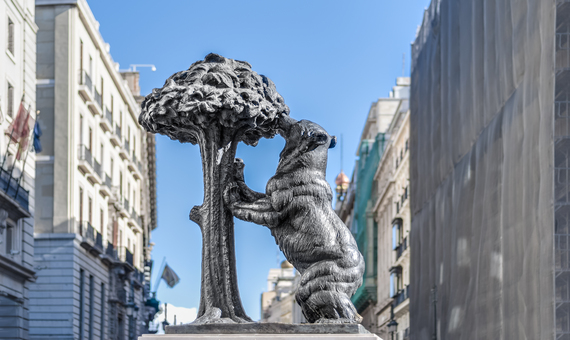 熊抱樹市標 El oso y el madrono